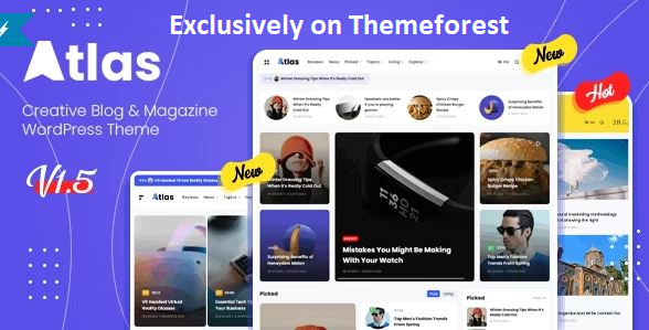 30 Best WordPress Blog Themes in 2024