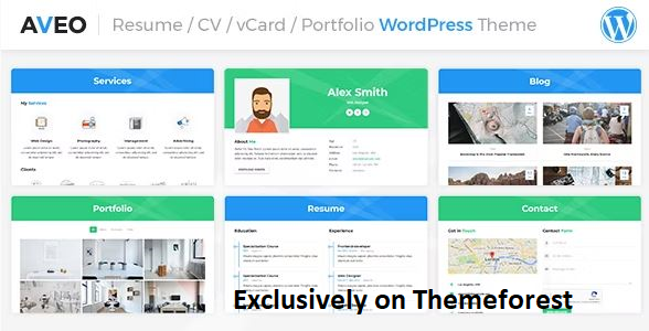 30 Best WordPress Resume Themes in 2024