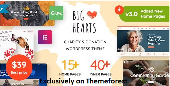 30 Best WordPress Charity Themes in 2024