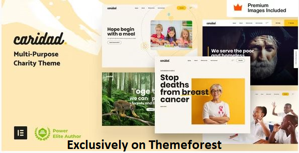 30 Best WordPress Charity Themes in 2024