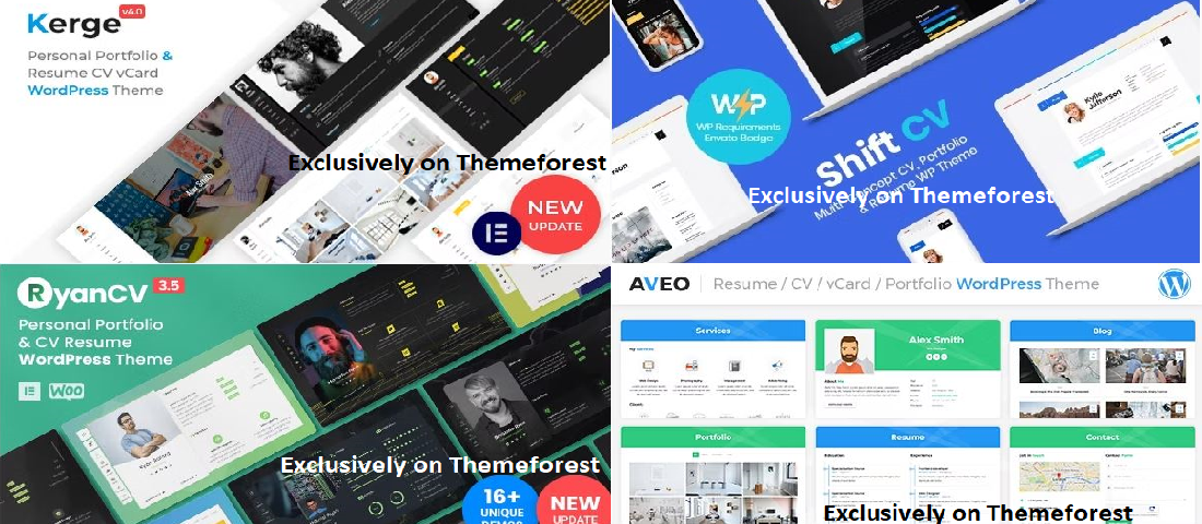 30 Best WordPress Resume Themes in 2024