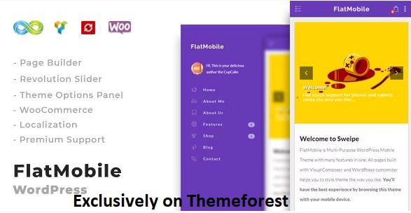 10+ Best Mobile Friendly WordPress Themes in 2024