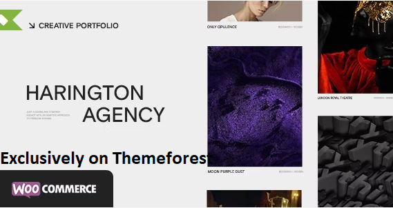 30 Best WordPress Portfolio Themes in 2024