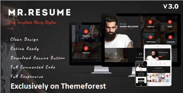 30 Best WordPress Resume Themes in 2024