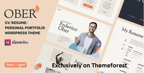 30 Best WordPress Resume Themes in 2024