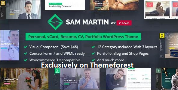 30 Best WordPress Resume Themes in 2024