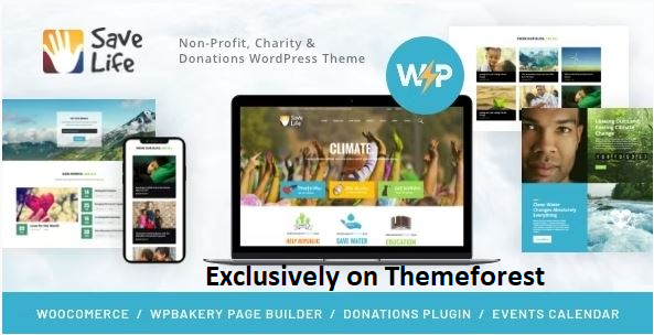 30 Best WordPress Charity Themes in 2024