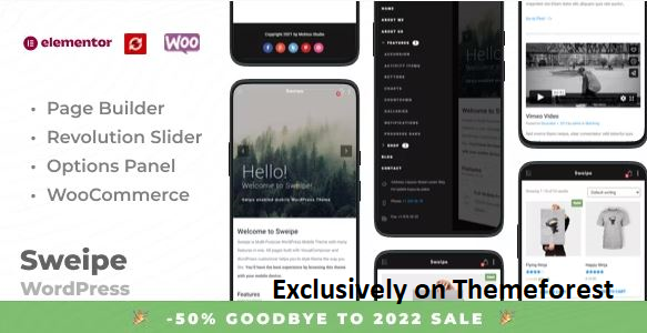 10+ Best Mobile Friendly WordPress Themes in 2024