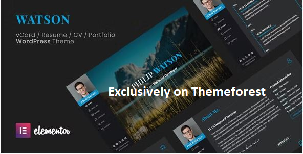 30 Best WordPress Resume Themes in 2024