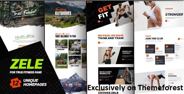 30 Best WordPress Fitness Themes in 2024