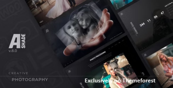 30 Best WordPress Photography Themes 2024