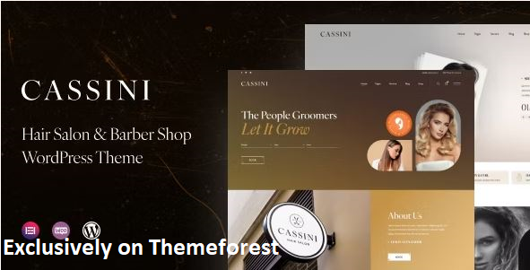 30 Best WordPress Hair Salon Themes in 2024