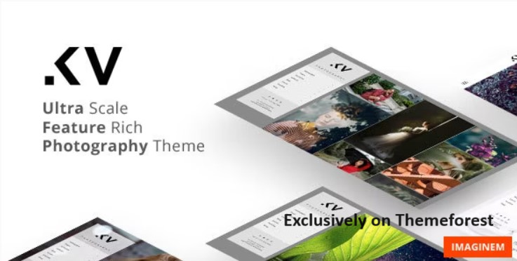 30 Best WordPress Photography Themes 2024