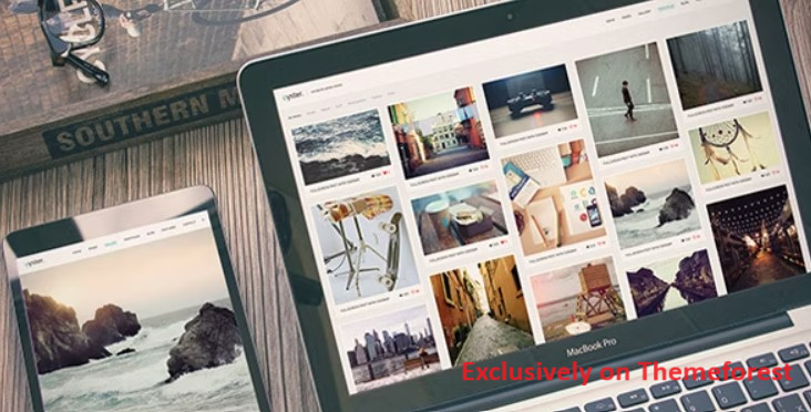 30 Best WordPress Photography Themes 2024