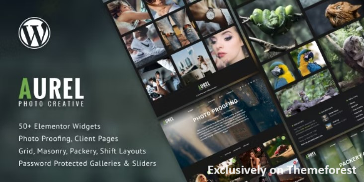 30 Best WordPress Photography Themes 2024