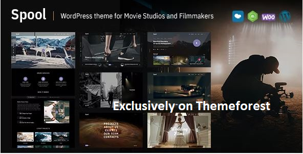 30 Best WordPress Movie Themes 2024