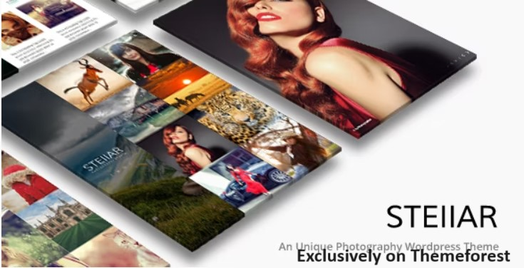 30 Best WordPress Photography Themes 2024