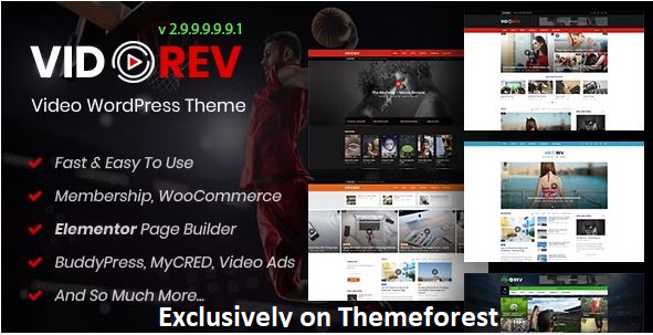 30 Best WordPress Movie Themes 2024