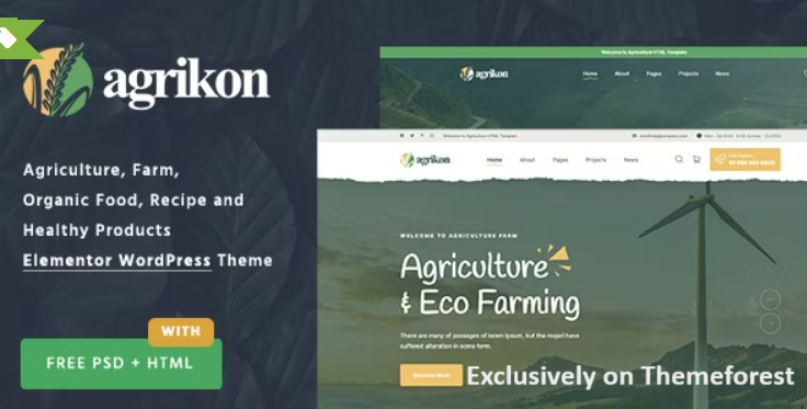 30 Best WordPress Organic Themes 2024