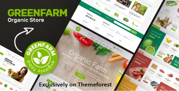 30 Best WordPress Organic Themes 2024