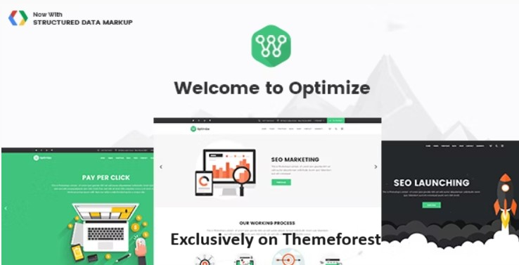 30 Best WordPress SEO Agency Themes 2024