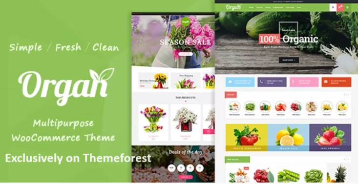 30 Best WordPress Organic Themes 2024