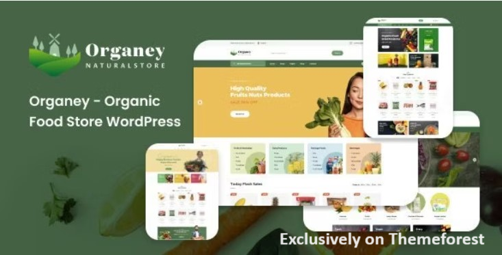 30 Best WordPress Organic Themes 2024