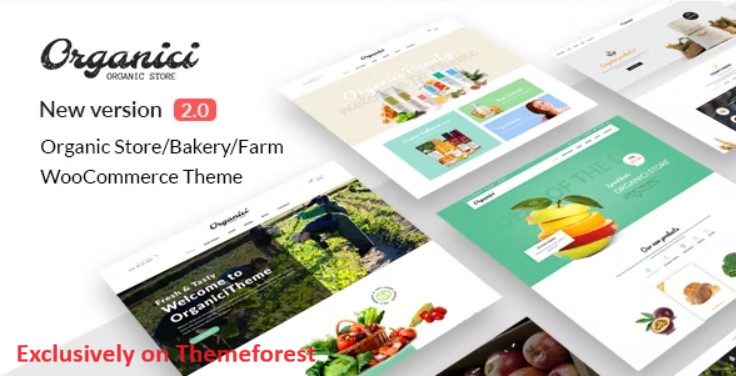 30 Best WordPress Organic Themes 2024