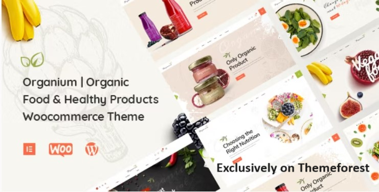 30 Best WordPress Organic Themes 2024