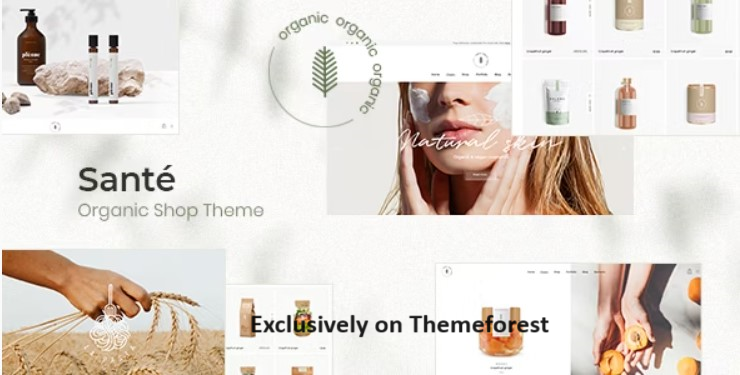 30 Best WordPress Organic Themes 2024