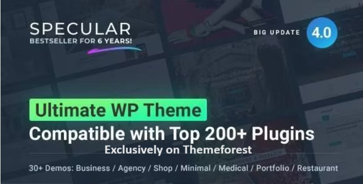 30 Best WordPress Business Themes 2024