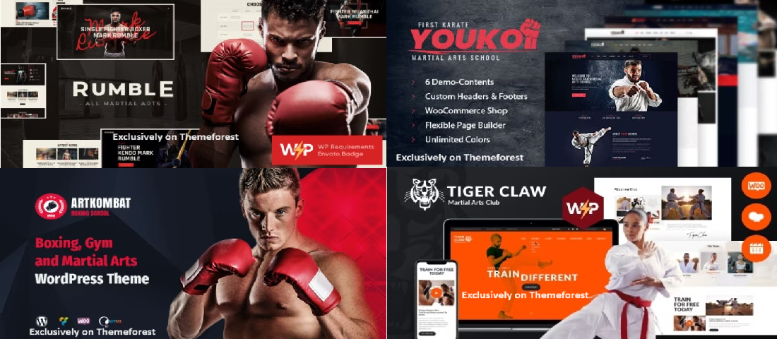 10 Best Martial Arts WordPress Themes 2024