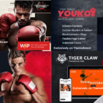 10 Best Martial Arts WordPress Themes 2024