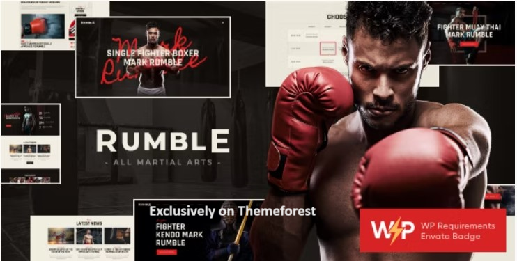 10 Best Martial Arts WordPress Themes 2024