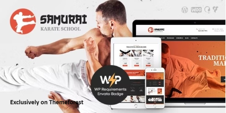 10 Best Martial Arts WordPress Themes 2024