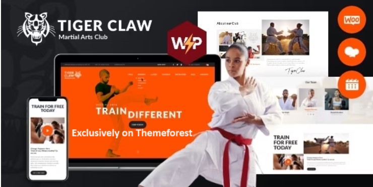 10 Best Martial Arts WordPress Themes 2024