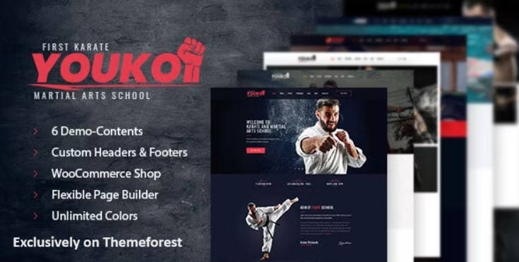 10 Best Martial Arts WordPress Themes 2024