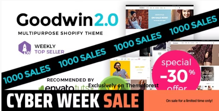 30 Best Shopify WordPress Themes 2024