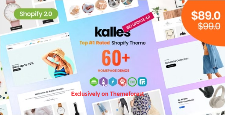 30 Best Shopify WordPress Themes 2024