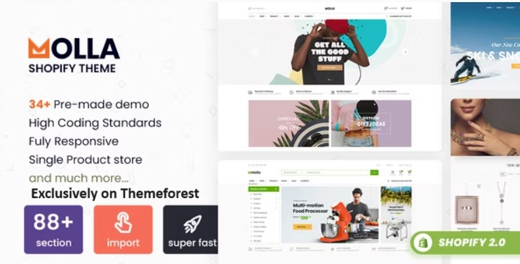 30 Best Shopify WordPress Themes 2024