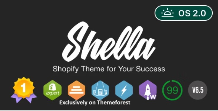 30 Best Shopify WordPress Themes 2024