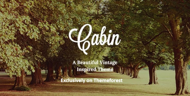 14 Best Vintage WordPress Themes 2024