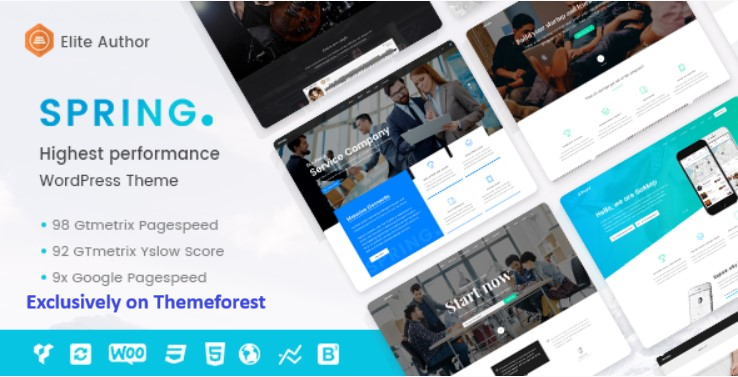 8 Best High-Performance WordPress Themes 2024