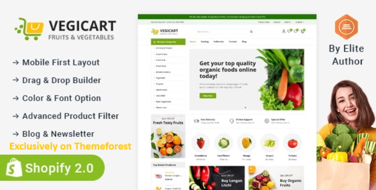 10 Best Vegetable WordPress Themes 2024