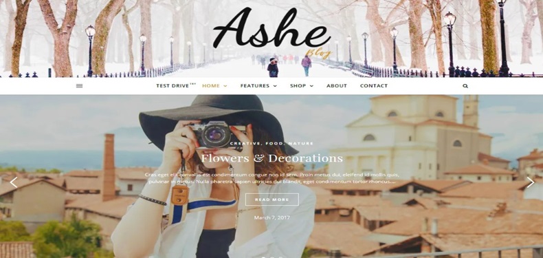20 Best Free WordPress Themes 2025