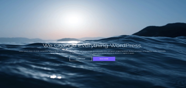 20 Best Free WordPress Themes 2025
